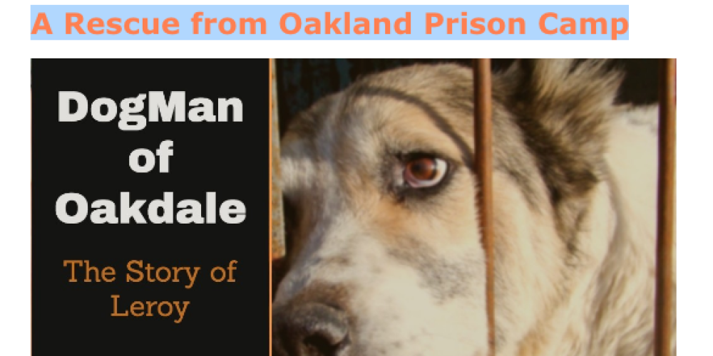 A Breakout from Oakland Prison Camp