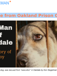 A Breakout from Oakland Prison Camp